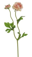 ranunculus s poupátkem 39 cm - broskvová