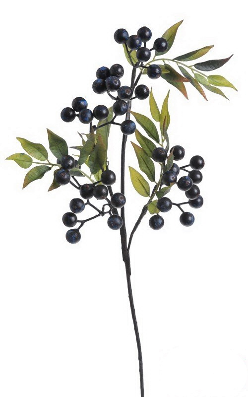 velké bobule s listy - modročerná