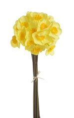 narcis svazek (6 ks) - žlutá/žloutkový střed