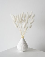 lagurus 30 g - bílá - krém