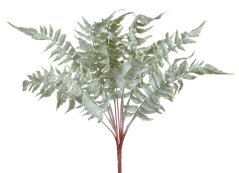 kapradí 45 cm - mint