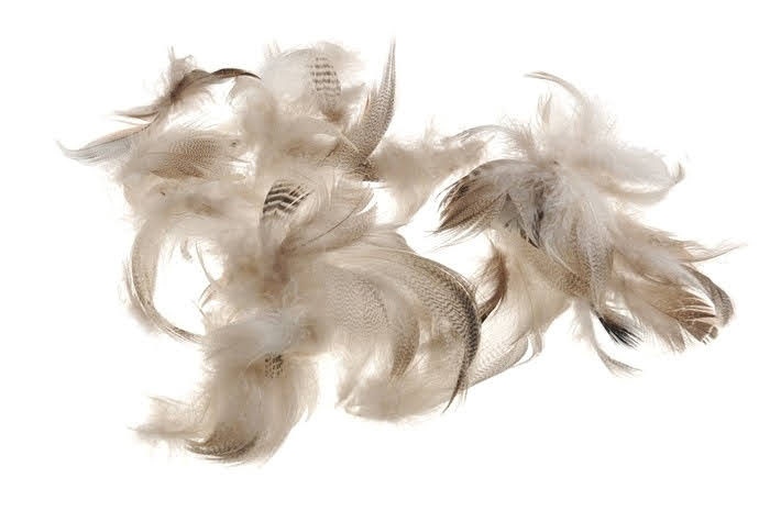 peří přírodní (10 g)