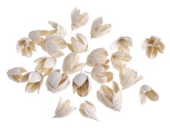 bakuli BLD (200 g) - bělená