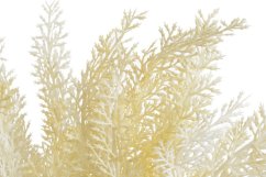 vřesovec trs x5 - krémová