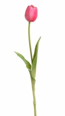 tulipán 40 cm - červenorůžová