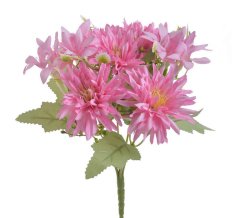 kytice aster - růžová