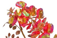 OPALIZZE vistárie 80 cm – iridescentná červená