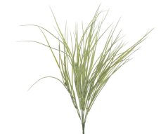 tráva dracena 54 cm - sv. zelená