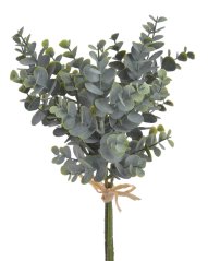 svazek eukalyptu 3 ks - zelená