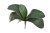 listy orchidea 36 cm