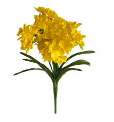 narcis trs x7 40 cm - žlutá