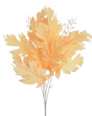 listy dubu - trs krém/broskev