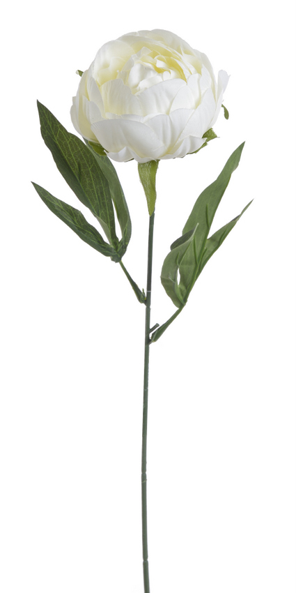 pivoňka s listy 44 cm  - krémová