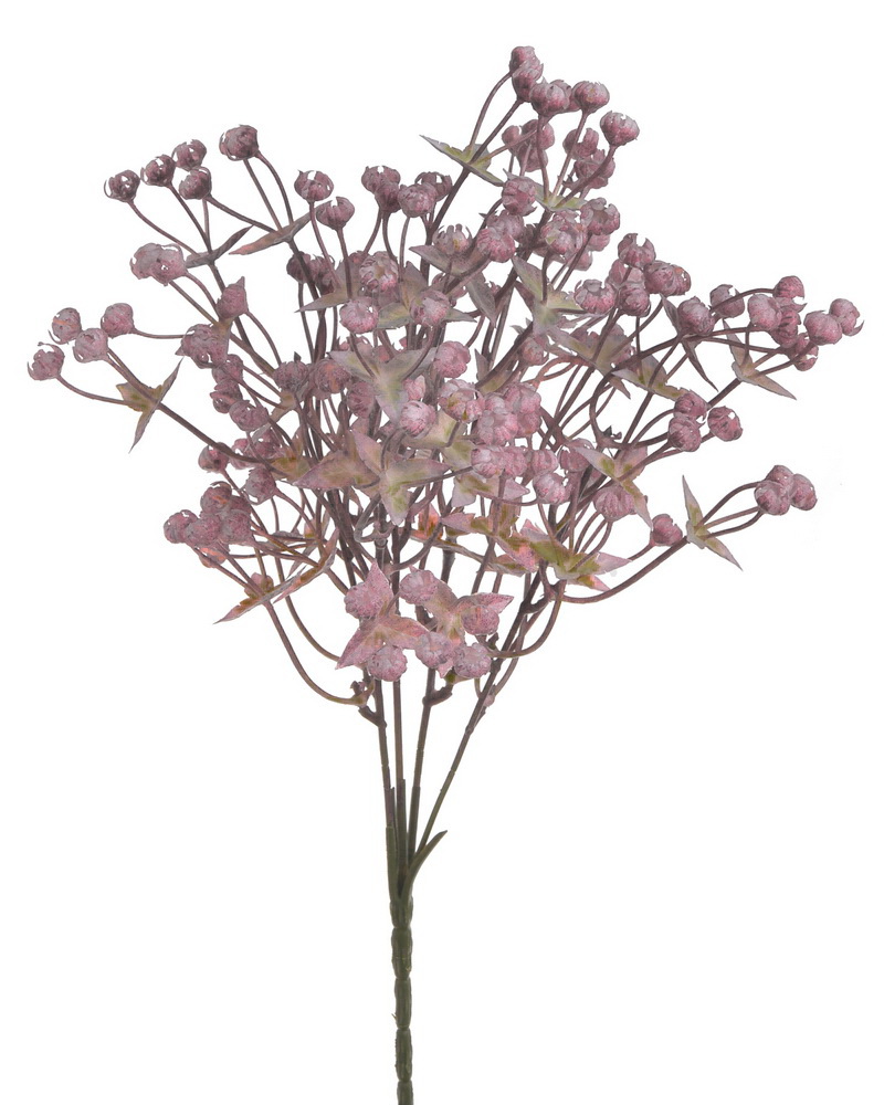 gypsophila trs - růžová